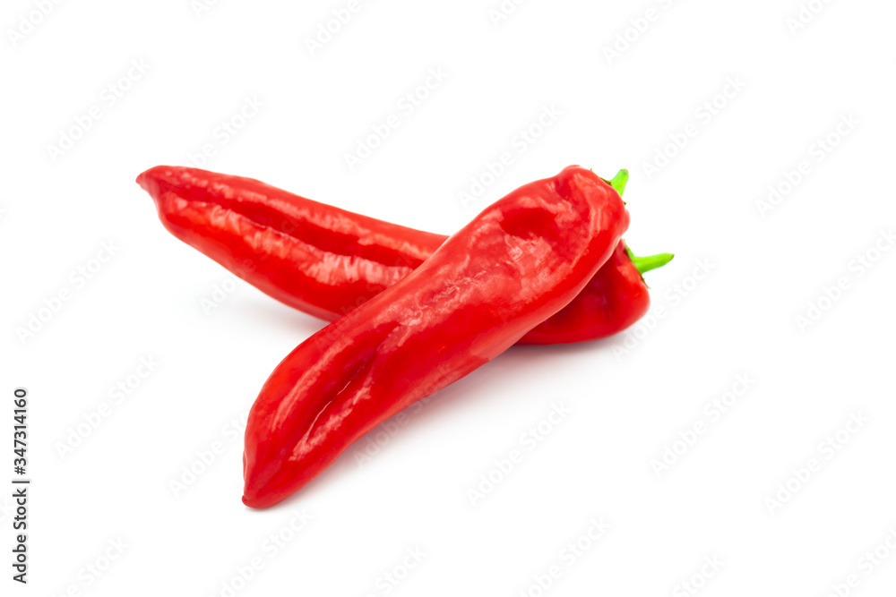 Two Fresh peppers isolated on white background. Red sweet paprika isolated.