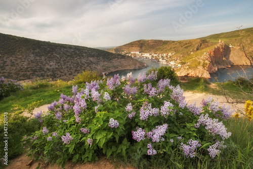 Lilac flowers on the background of the sea and mountains. Beautiful spring landscape with a lilac bush. Syringa blooms in spring.