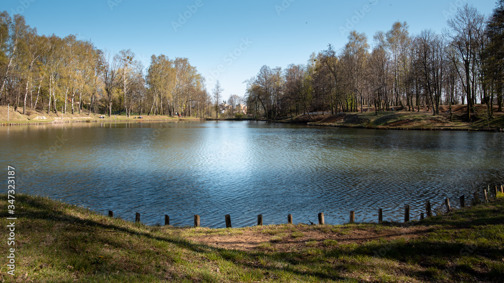 Fototapeta premium View of the lake in the park between the trees. Ready free space for an inscription