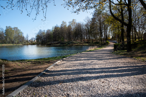 
View of the lake in the park between the trees. Ready free space for an inscription
