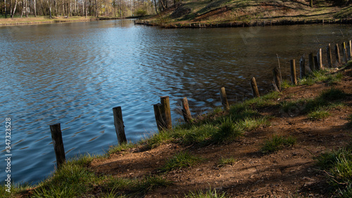 
View of the lake in the park between the trees. Ready free space for an inscription