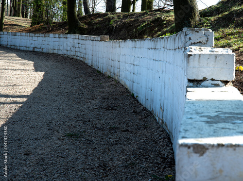 
Alley in the park between trees. Free space for an inscription