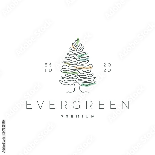 pine evergreen fir hemlock spruce conifer cedar coniferous cypress larch pinus tree logo vector icon illustration