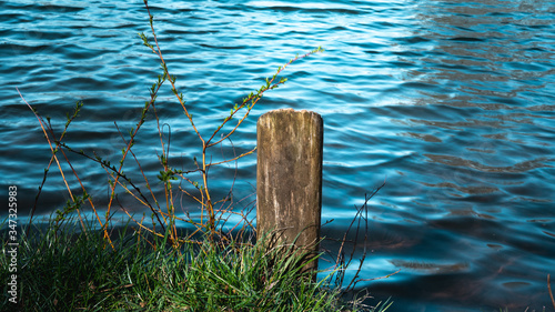 
View of the lake in the park between the trees. Ready free space for an inscription