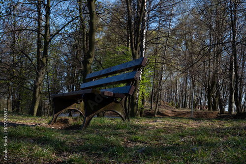  Park bench between trees. Ready free space for an inscription