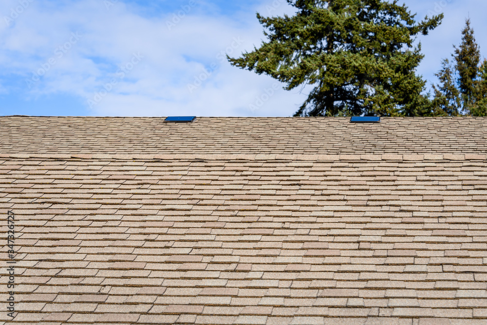 Asphalt shingles rooftop with evergreen tree and blue sky with wispy white clouds in background
Asphalt shingles rooftop with evergreen tree and blue sky with wispy white clouds in background