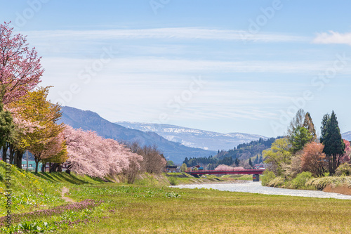 spring in the park