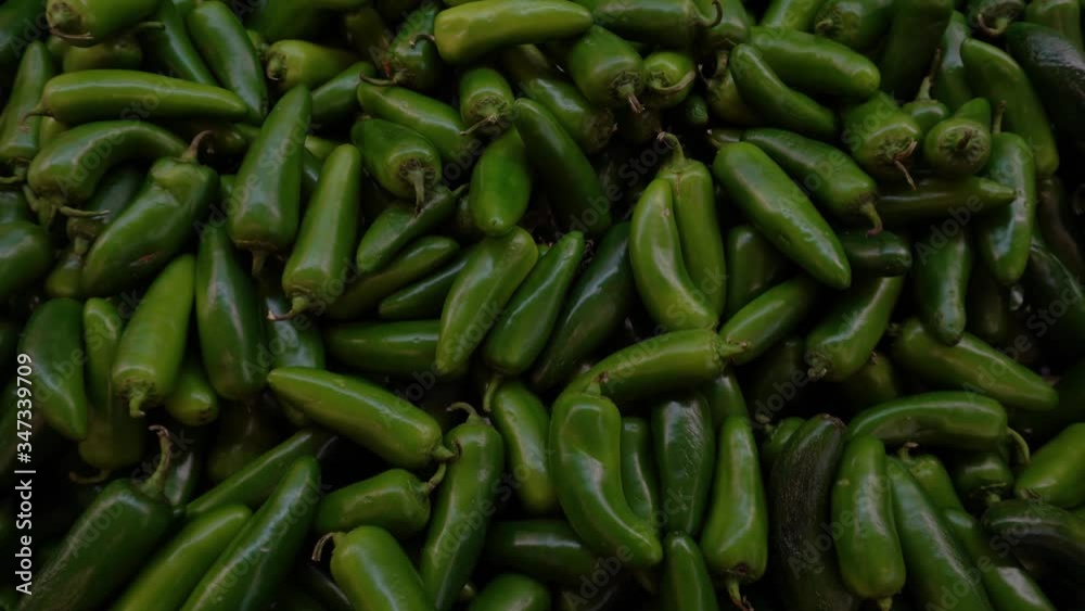 Chiles serranos. Chiles verdes. Paneo hacia arriba a una velocidad lenta