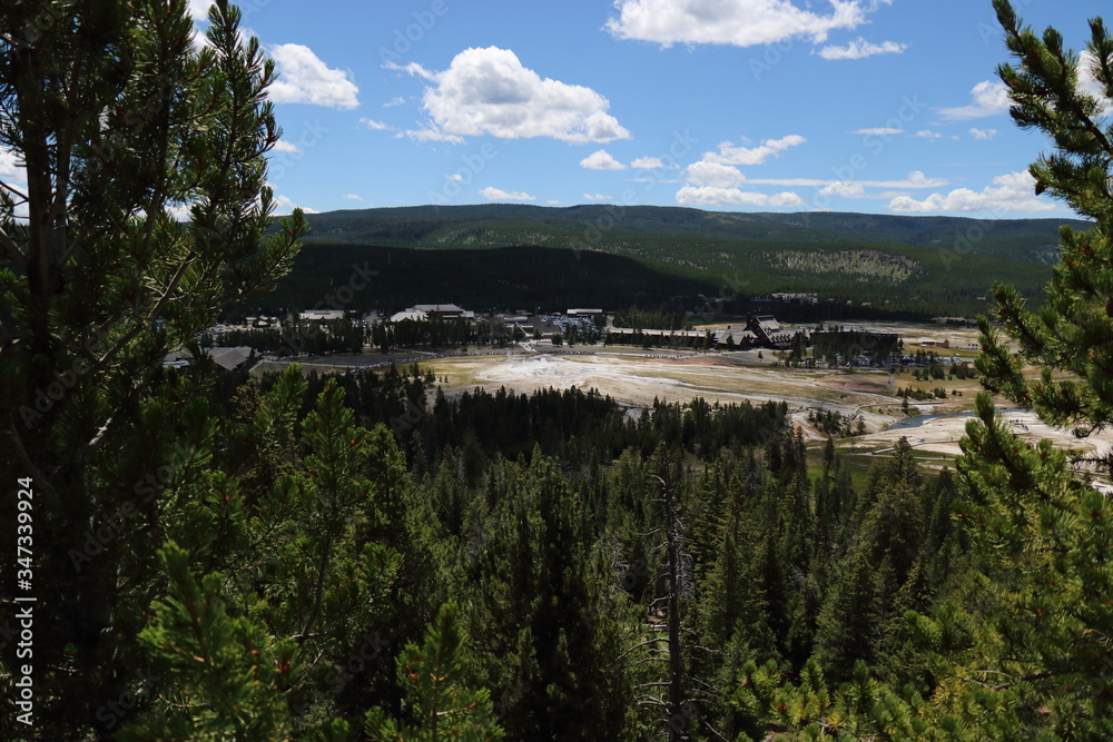 Wild Beauty Yellowstone Wild Beauty Yellowstone