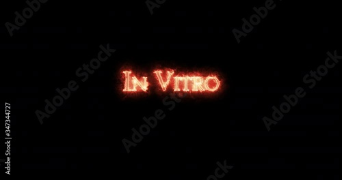 In vitro written with fire. Loop photo