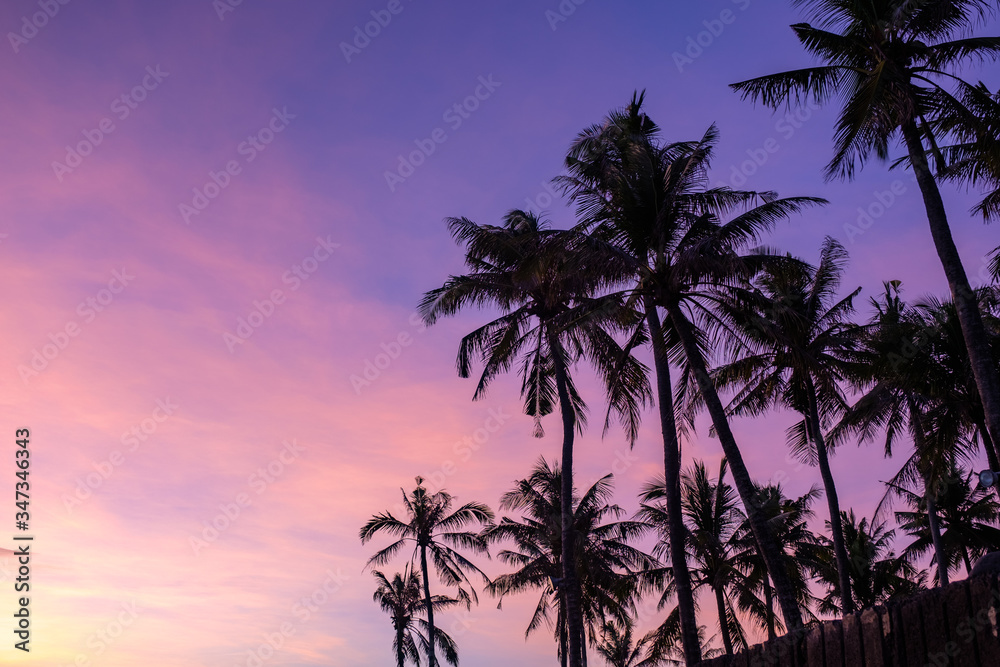 Purple Sunset Serenity: Tropical Coast Silhouettes
