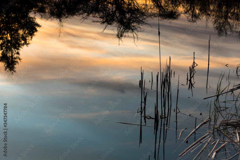 Sunset reflected on the water of a rural pond in Ontario Canada. Sunset reflected on the water of a rural pond in Ontario Canada.