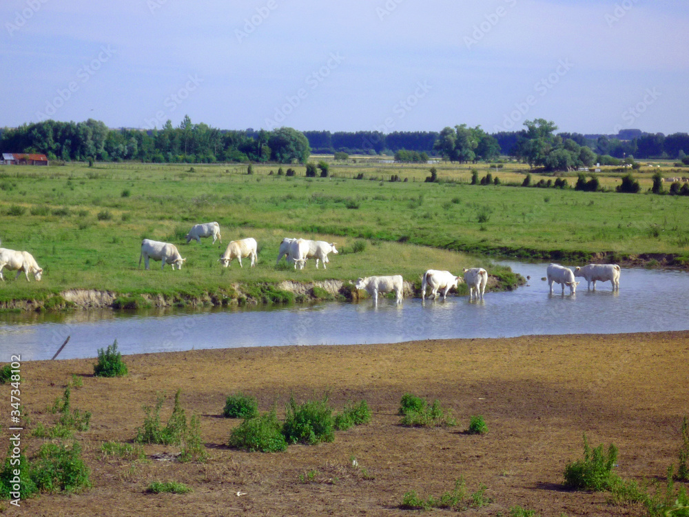 Picardie la Baie de Somme