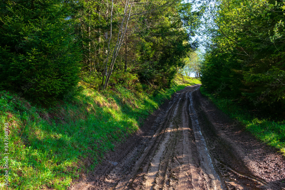 Obraz premium beautiful nature scenery. path through forest on grassy hills in springtime. concept of outdoor adventure on a sunny day with clouds on the blue sky