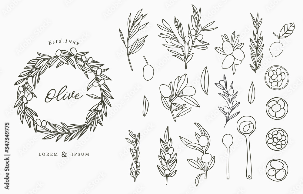 Black Olive logo collection with leaves.Vector illustration for icon,logo,sticker,printable and tattoo
