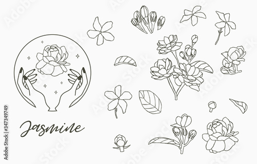 Black Jasmine logo collection with leaves.Vector illustration for icon,logo,sticker,printable and tattoo
