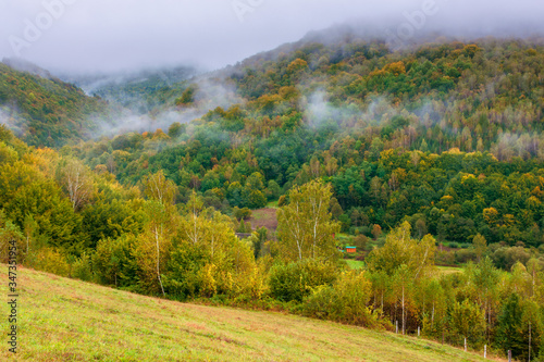 forest on hill in mist at sunrise. wonderful autumnal countryside landscape