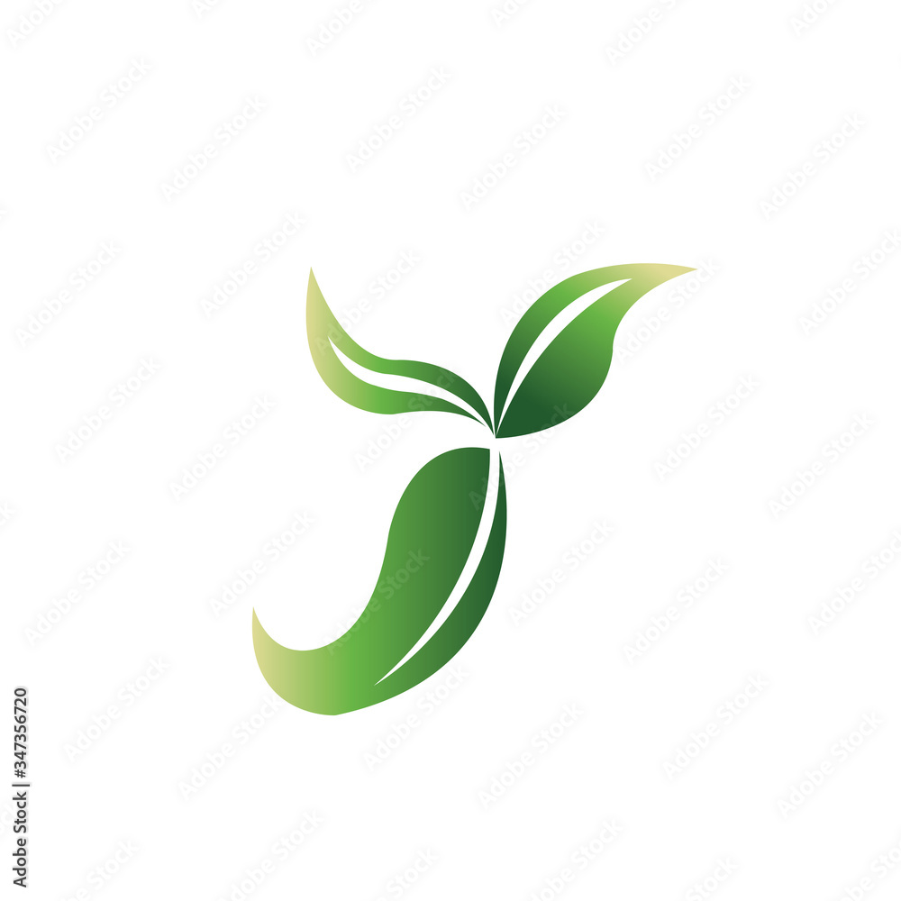 illustration of letter y leaf vector design illustration of letter y leaf vector design