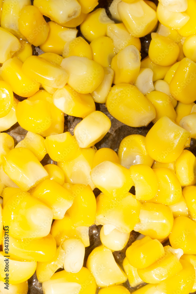 canned corn on a white background vegetable kernels canned corn on a white background vegetable kernels