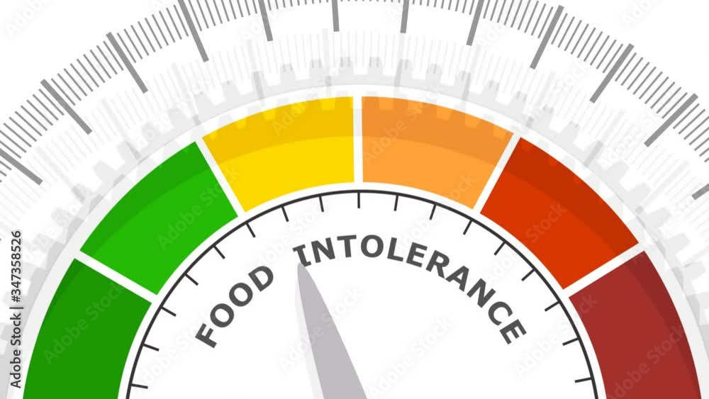 Food intolerance measuring device. Sign tachometer, speedometer, indicators. Infographic gauge element. Food intolerance measuring device. Sign tachometer, speedometer, indicators. Infographic gauge element.