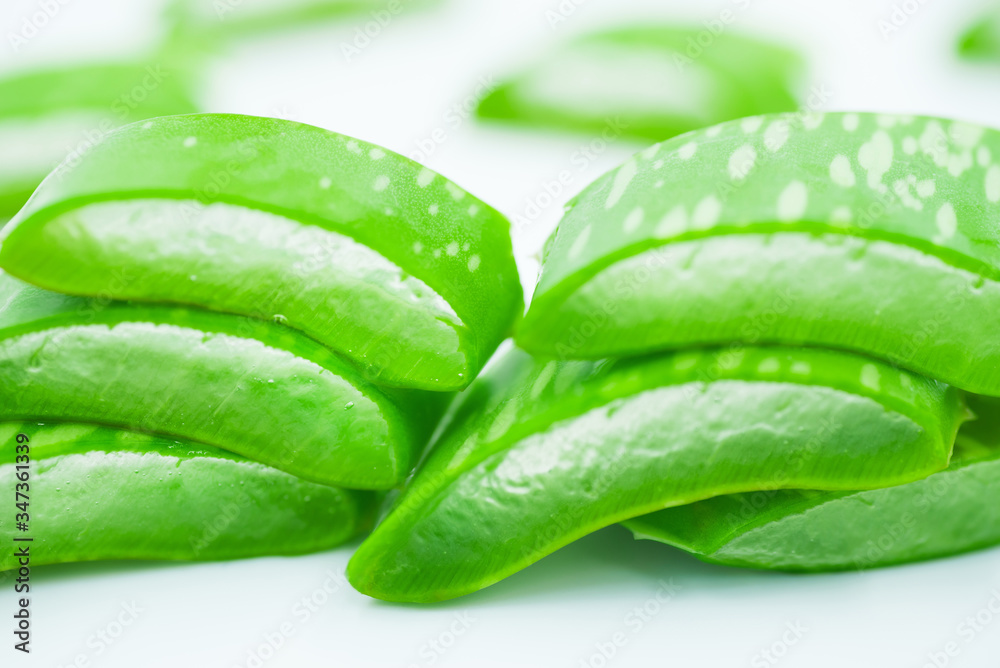 fresh aloe vera on white background
fresh aloe vera on white background