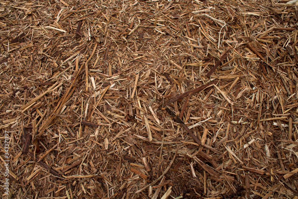 Dry yellow straw background used as the soil of Lake Titicaca Peru Dry yellow straw background used as the soil of Lake Titicaca Peru
