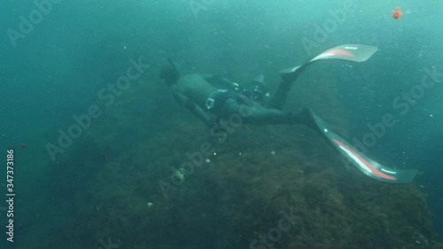 Person scuba diving with underwater camera while swimming over coral reef in sea - Azores, Portugal photo