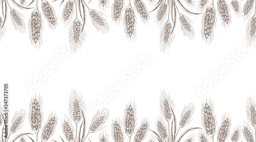seamless wheat or barley background isolated on white. hand drawn sketch vector illustration. endless rye spikelets of wheat ears border  frame. banner  flyer template. bakery goods packaging design.