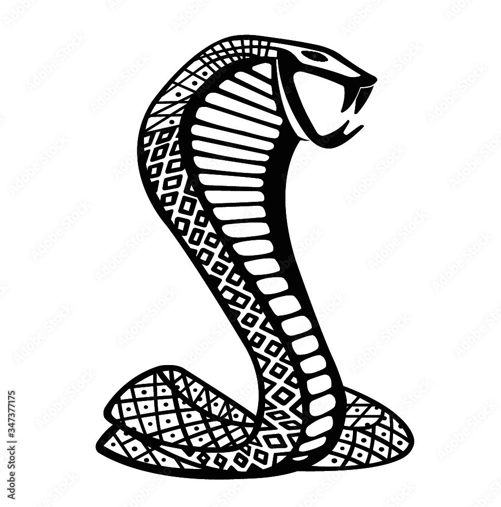 Buy ERPART COBRA Snake Aluminum Emblem Badge Nameplate Decal Logo Rare  Compatible with Ford Mustang Shelby GT GT500 SVT (Pack of 2) Online at  desertcartINDIA