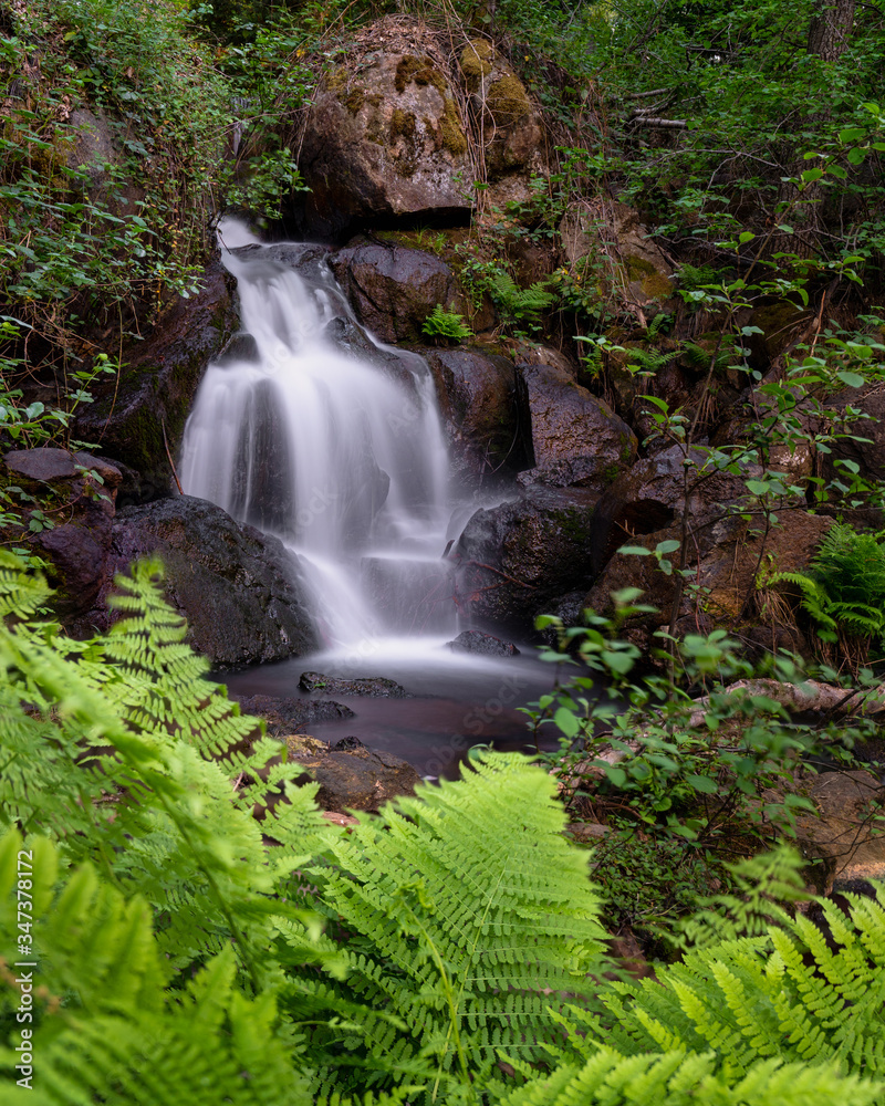 Waterfall in the Forest in the Sierra Nevada Mountains