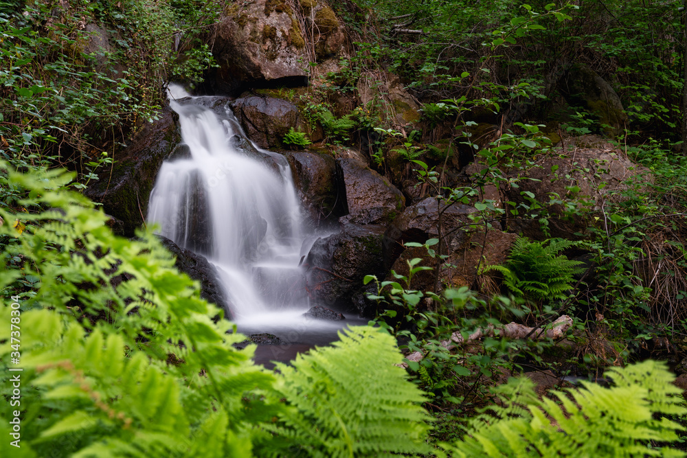 Naklejka premium Waterfall in the Forest in the Sierra Nevada Mountains
