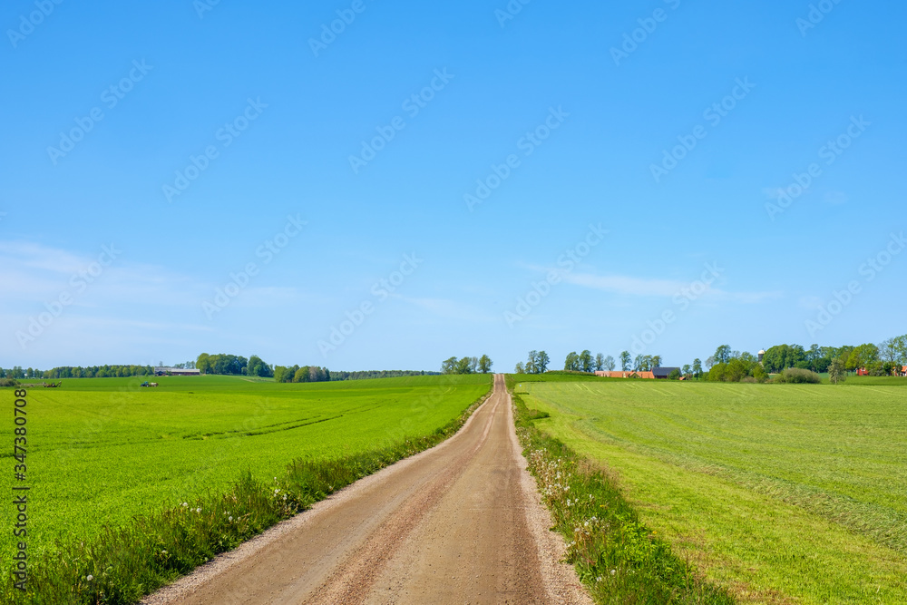 Long straight dirt road in a rural landscape in the summer