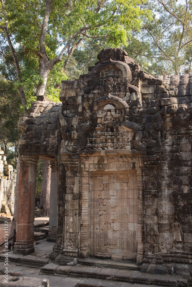 Ta Prohm temple. Cambodia.