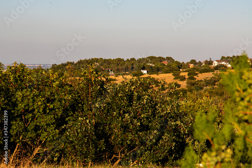 An afternoon walk in the forest of the Murgia  in southern Italy. The panoramic view of some houses immersed in the green of nature under the clear sky.