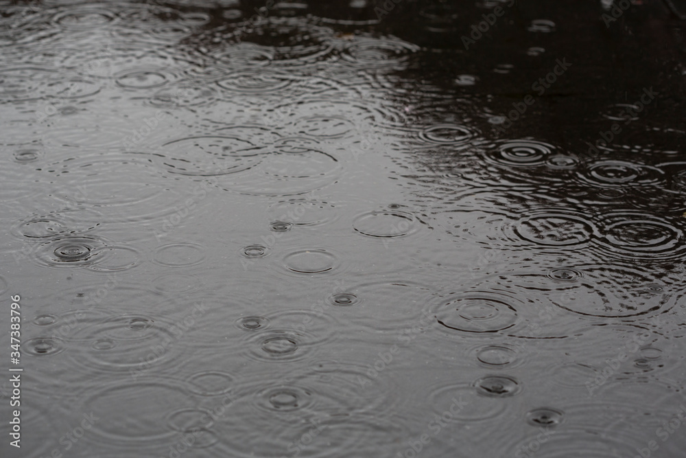 rain drops on the water