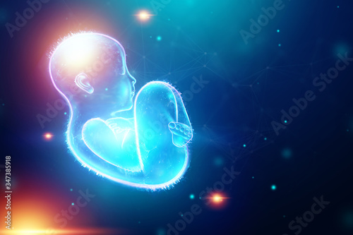 Infant, a child in a fetal position, an embryo, a hologram on a dark background. Pregnancy concept, artificial insemination, copy space. 3D illustration, 3D rendering.