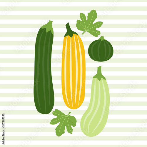Cartoon Zucchini. Colored Vector Illustration EPS