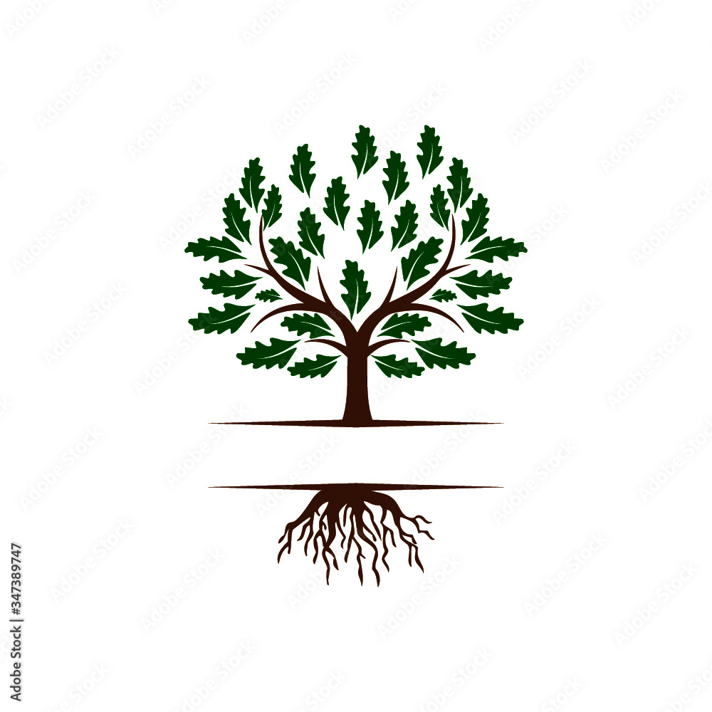 Obraz premium Tree with roots logo Isolated on white background
