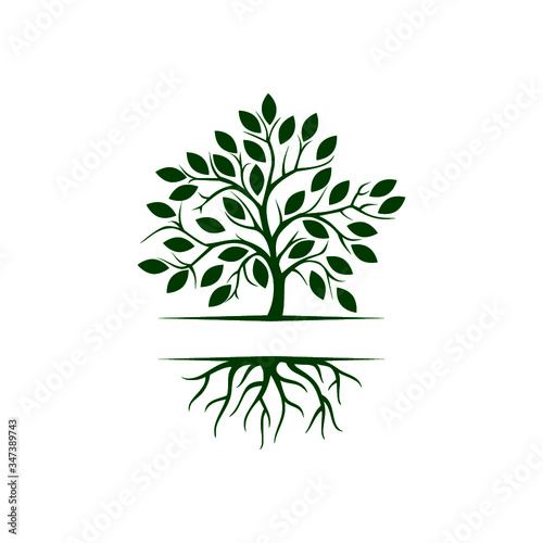 Tree with roots logo Isolated on white background
