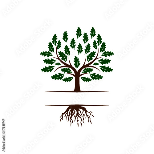 Tree with roots logo Isolated on white background