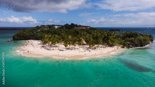 Island with coconut palms