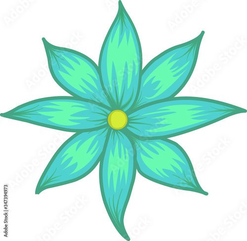 fresh and soothing blue flowers