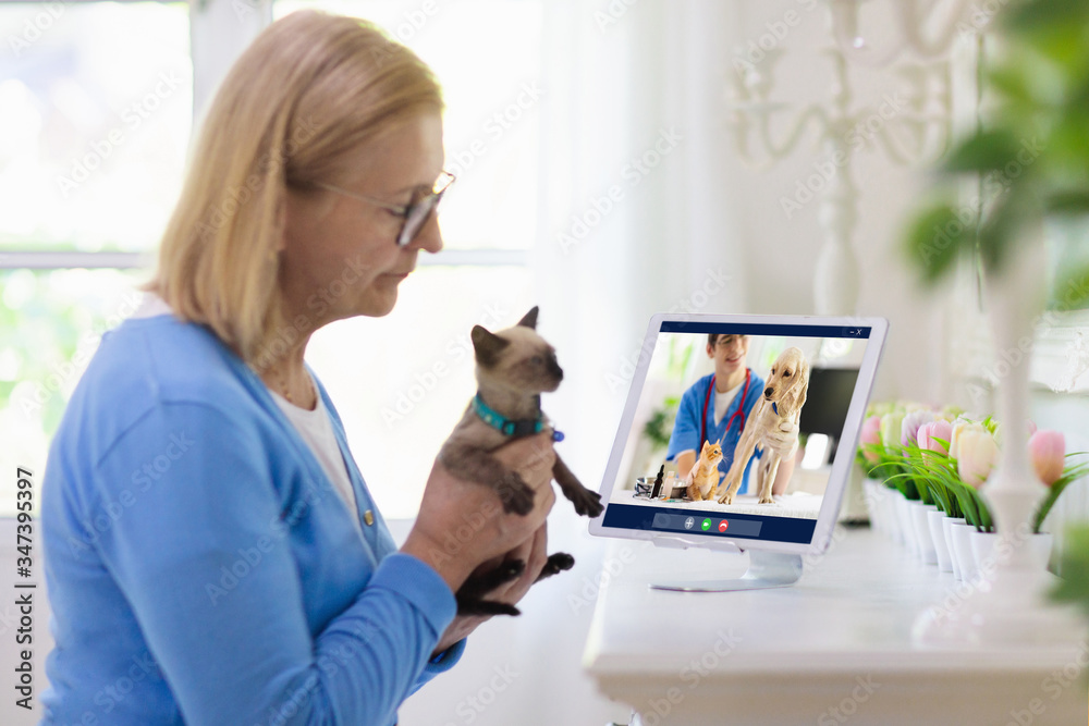 Online consultation with veterinarian doctor. - obrazy, fototapety, plakaty 