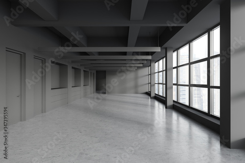 Empty panoramic gray office interior with doors