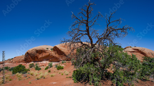 Arches national Park Moab