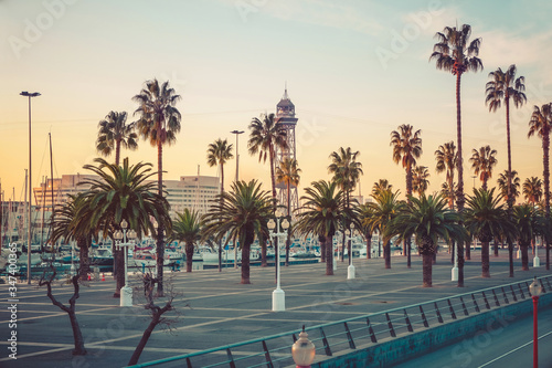 Promenade of Barcelona with palm trees and yachts on a sunny day. View of palm trees and a marina. © Andrii