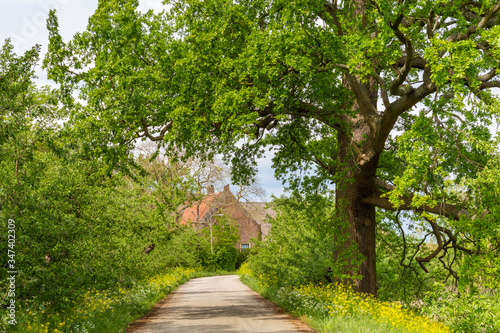 Family Estate Heerlijkheid Marienwaerdt along river De Lek in the Betuwe near Beesd, Gelderland The Netherlands photo