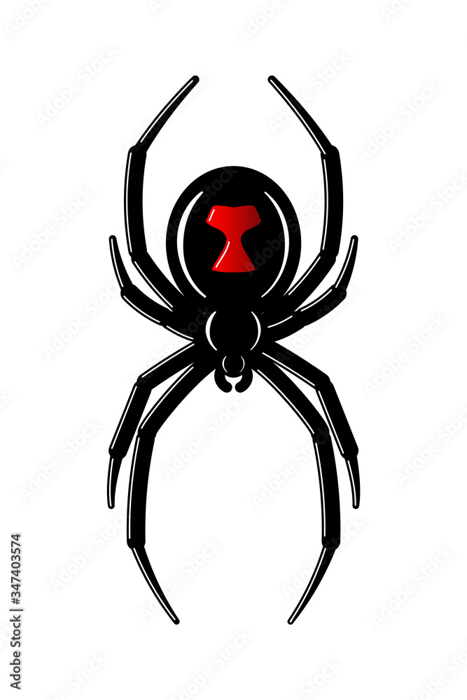Spider Black Widow. Red black bug spider 3D, isolated white background. Scary Halloween redblack icon, symbol horror, animal arachnid, creepy dangerous insect, arachnophobia fear. Vector illustration Spider Black Widow. Red black bug spider 3D, isolated white background. Scary Halloween redblack icon, symbol horror, animal arachnid, creepy dangerous insect, arachnophobia fear. Vector illustration