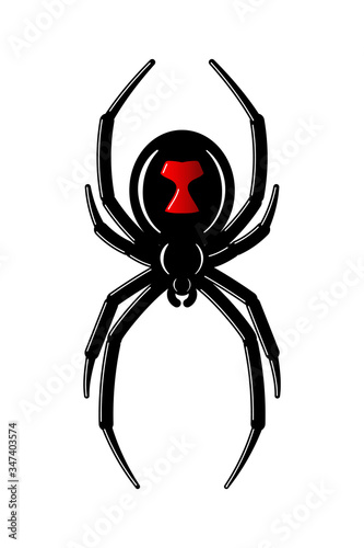 Spider Black Widow. Red black bug spider 3D, isolated white background. Scary Halloween redblack icon, symbol horror, animal arachnid, creepy dangerous insect, arachnophobia fear. Vector illustration
