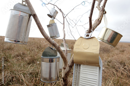 Environmental Pollution